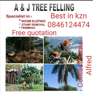 A&amp;J TREE FELLING AND GARDEN SERVICES