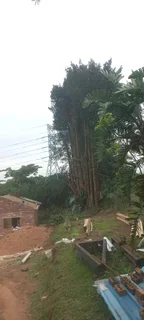 A&amp;j Tree Felling And Garden Services