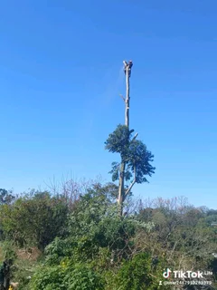 A&j Tree Felling And Garden Services