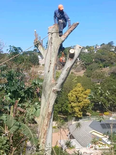 A&amp;J TREE FELLING AND GARDEN SERVICES