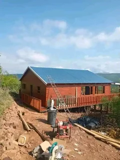 Lily Collins Wendy&#39;s