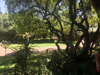 Garden Cattage for rent Midrand