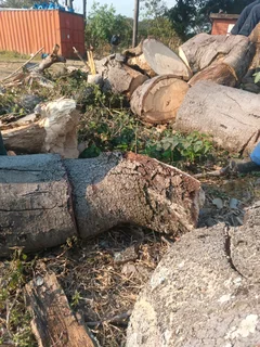Tydol Tree Felling Call Us Or 0697210554click Whatsapp 0671896128 We Do The Following Services Tree