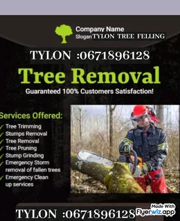 Tylon Tree Felling Are Here To Help You