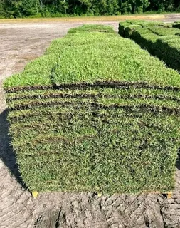 Farm fresh evergreen instant lawn