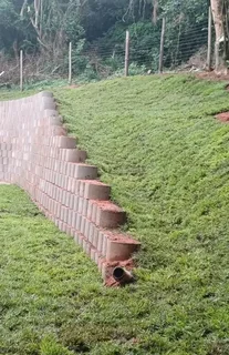 Farm fresh evergreen instant lawn