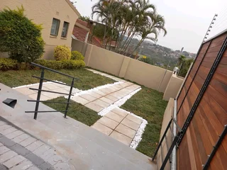 Farm fresh evergreen instant lawn