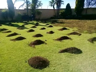 Farm fresh evergreen instant lawn