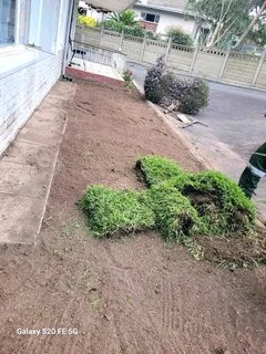 Farm fresh evergreen instant lawn