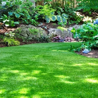 Farm fresh L.M Berea Shade, Kikuyu, Buffalo,Royal Blue