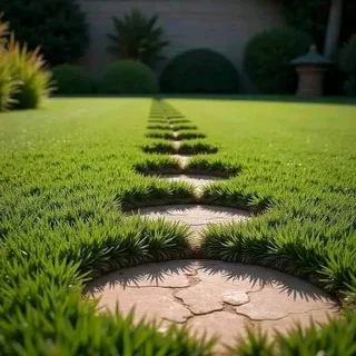 Farm fresh L.M Berea Shade, Kikuyu, Buffalo,Royal Blue