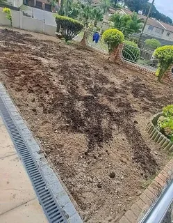 LM Berea Shade, Kikuyu Buffalo and Royal Blue