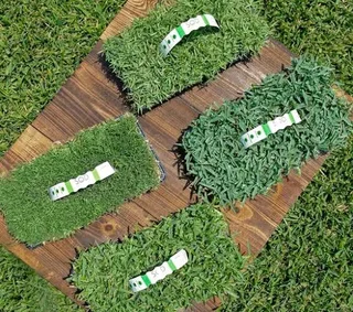 Farm fresh evergreen instant lawn