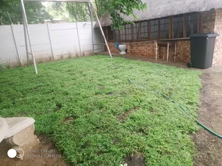 LM BEREA SHADE KIKUYU BUFFALO and ROYAL BLUE