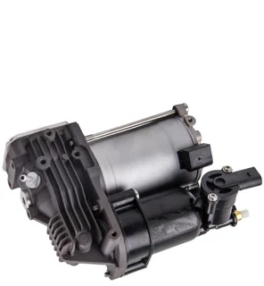 Air Suspension Pump For Bmw E70 X5 Model - Mck Auto Parts 0640669988 / 0112850946
