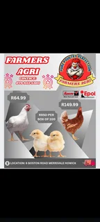 Poultry - Ad posted by Farmer Agri