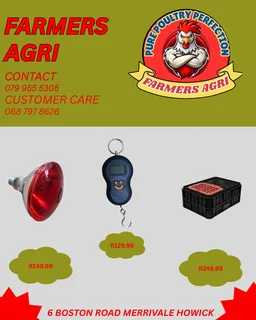 Poultry Equipments