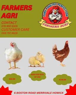 Poultry - Ad posted by Farmer Agri