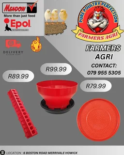 Poultry Drinkers and feeders equipment