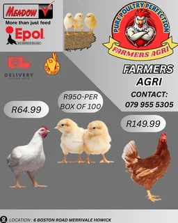 Poultry - Ad posted by Farmer Agri
