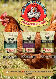 Epol 40kg Feed