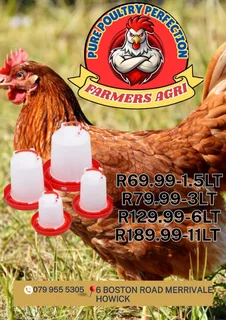 Drinkers and Feeders