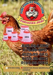 Drinkers and Feeders