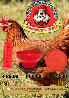 Feeders and Drinkers