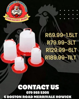 Feeders and Drinkers