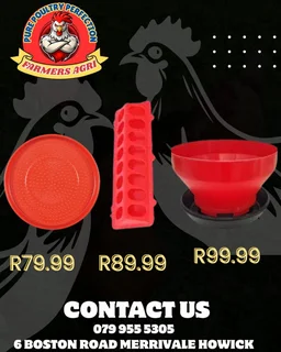 Feeders and Drinkers