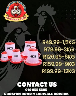 Poultry Drinkers and feeders equipment