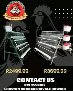 Chicken, Crates and layer Cages equipment