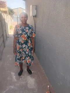 Experienced domestic cleaner