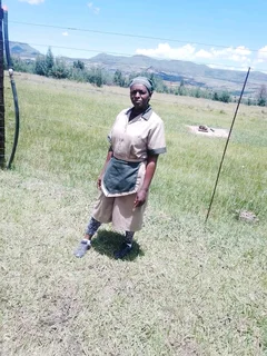 Urgently looking for any honest domestic work