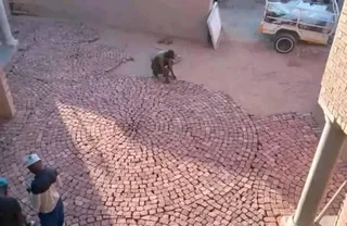 Reject red clay bricks