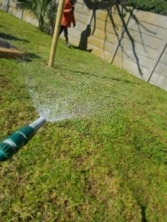 We supply kikuyu grass buffalo grass Lm berea grass and cynodon grass