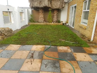 We supply kikuyu grass buffalo grass Lm berea grass and cynodon grass