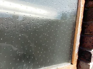 fg construction and general maintenance