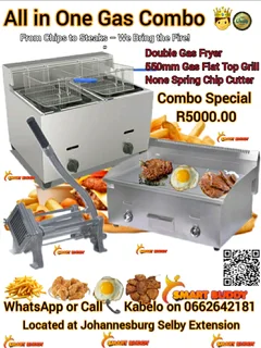 All-in-One Fish &amp; Chip Gas Combo – Commercial Grade 