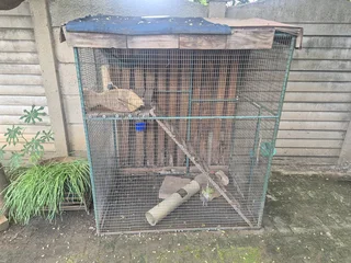 Selling Bird Cage