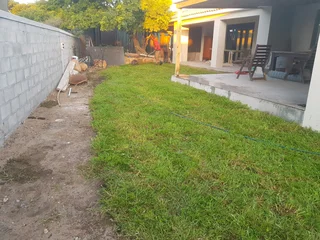 We supply kikuyu grass buffalo grass Lm berea grass and cynodon grass