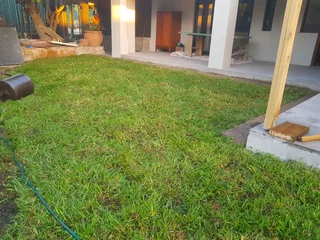 We supply kikuyu grass buffalo grass Lm berea grass and cynodon grass