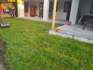 We supply kikuyu grass buffalo grass Lm berea grass and cynodon grass