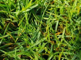 We supply and deliver compost and topsoil, fresh from the farm with no smell. Our products include p