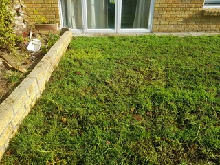 We supply kikuyu grass buffalo grass Lm berea grass and cynodon grass