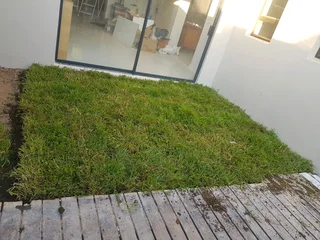 We supply kikuyu grass buffalo grass Lm berea grass and cynodon grass