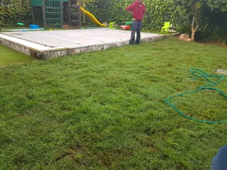 We supply kikuyu grass buffalo grass Lm berea grass and cynodon grass