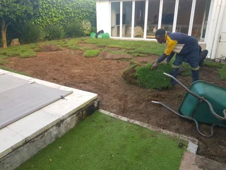 We supply kikuyu grass buffalo grass Lm berea grass and cynodon grass