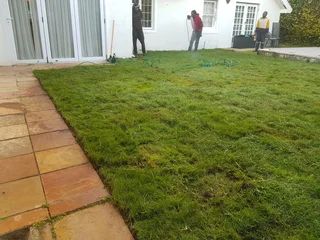 We supply kikuyu grass buffalo grass Lm berea grass and cynodon grass