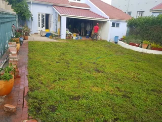 We supply kikuyu grass buffalo grass Lm berea grass and cynodon grass